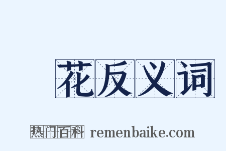 絨花反义词是什么意思的图片